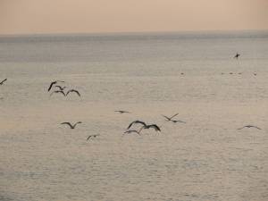 Xtrallusion photo library of independent, self-guided walking and sightseeing holidays in Italy. Pictures, images, photos and photographs taken along the way of this 1-day walking itinerary, to give you a visual impression of the day's walk.